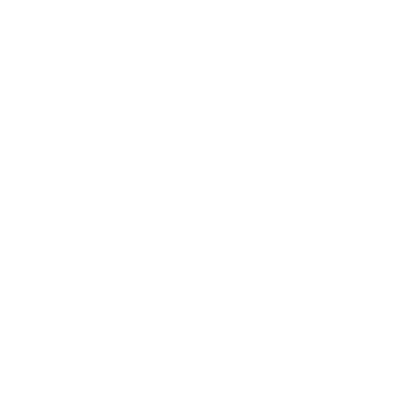 marine-megafauna-foundation-1 Circular logo showing stylized silhouettes of a manta ray, dolphin, and sea turtle above the text "MARINE MEGAFAUNA FOUNDATION" in bold caps