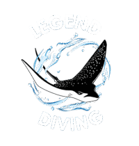 Logo-original-no-background-white-Letters